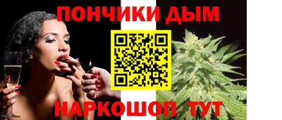 шишки Гусиноозёрск