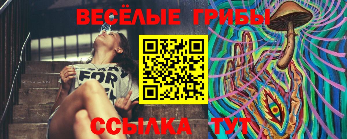 Псилоцибиновые грибы GOLDEN TEACHER Комсомольск-на-Амуре