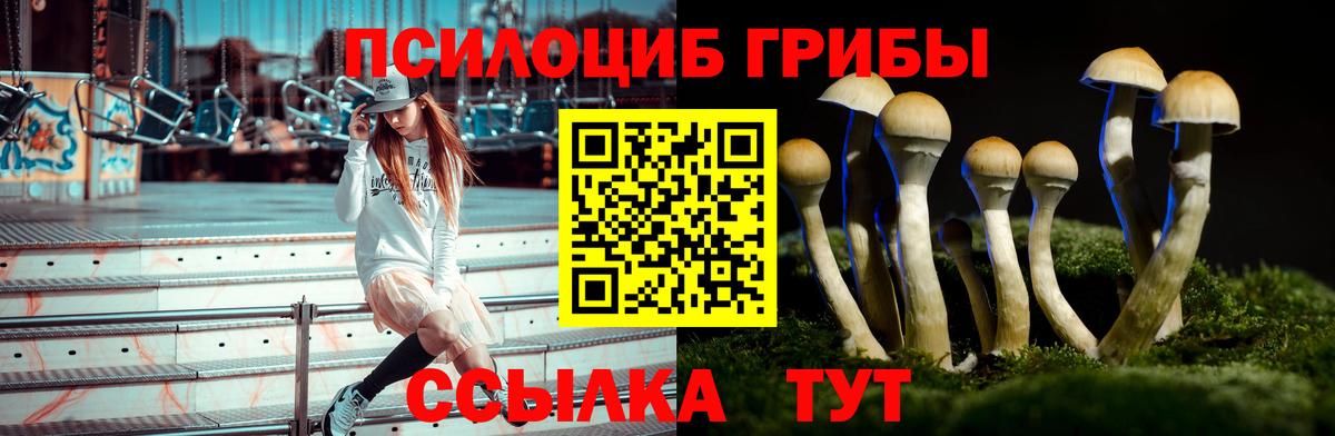 Псилоцибиновые грибы Psilocybine cubensis  Вход с VPN  Комсомольск-на-Амуре 